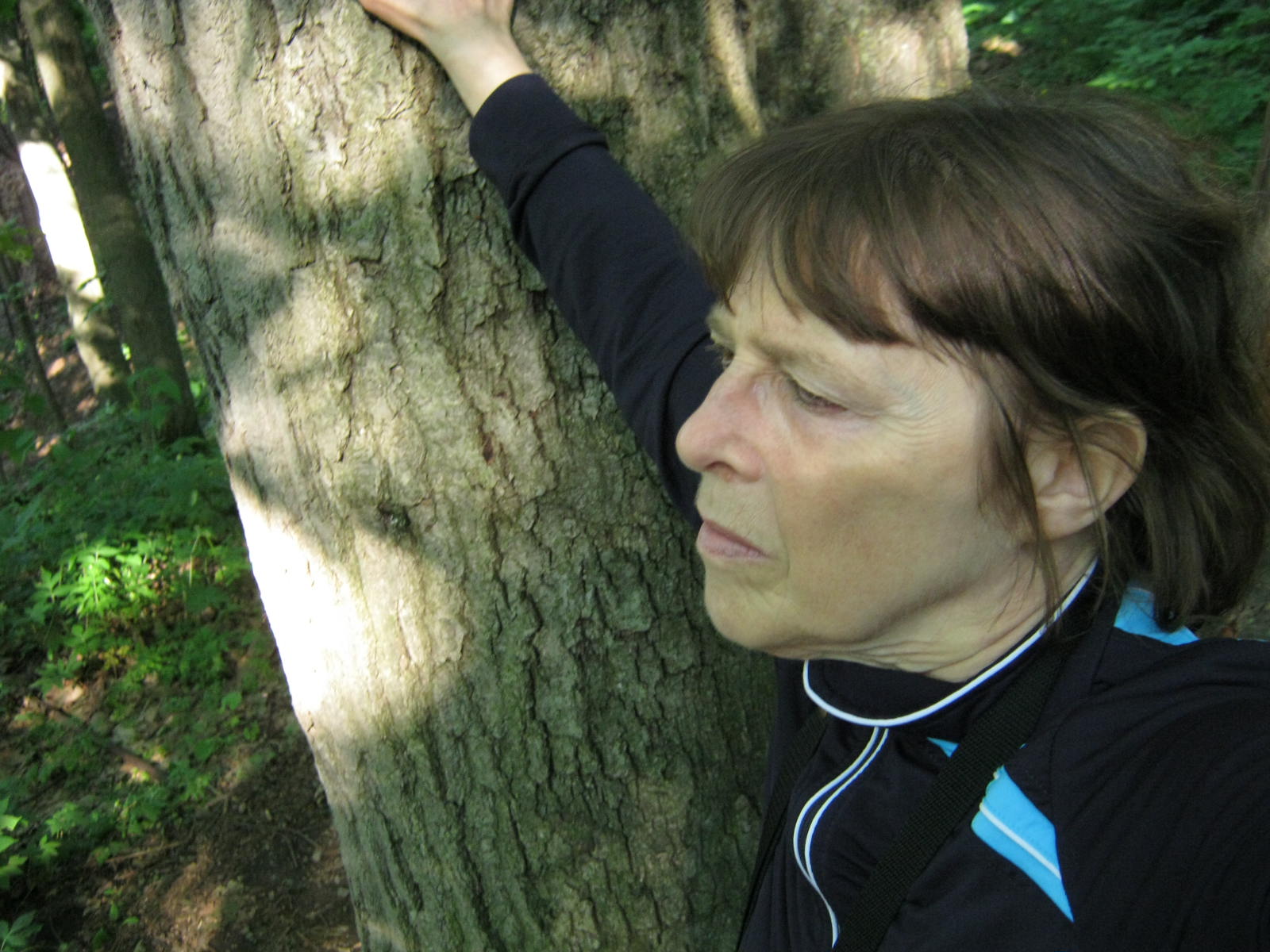 Moi et l'Arbre