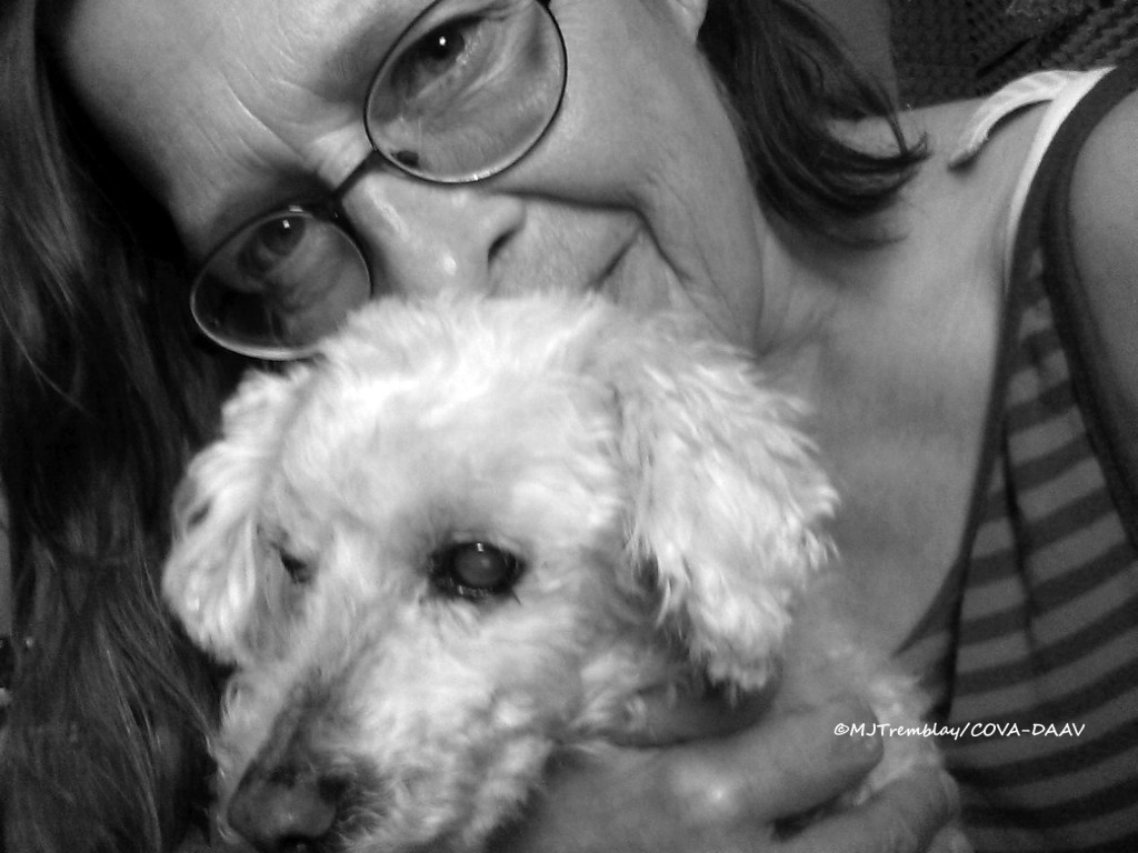 Chirurgie de l&rsquo;œil et soins de Teddy&nbsp;Bear